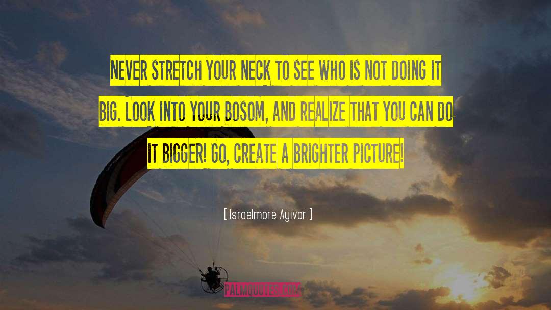 Brighter Picture quotes by Israelmore Ayivor