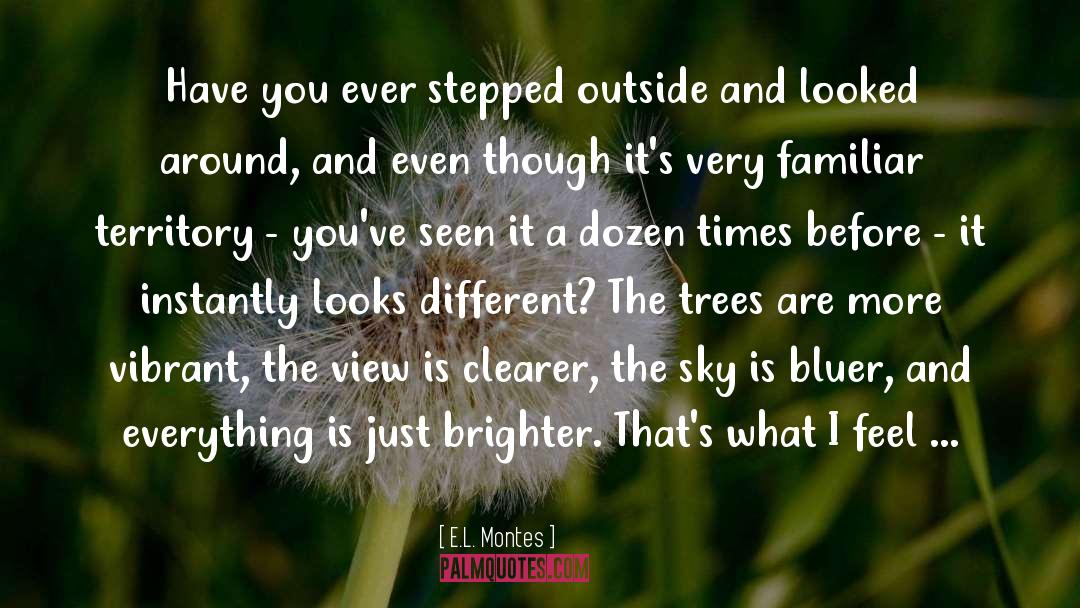Brighter quotes by E.L. Montes