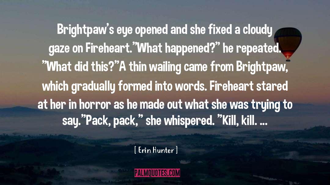 Brightpaw quotes by Erin Hunter