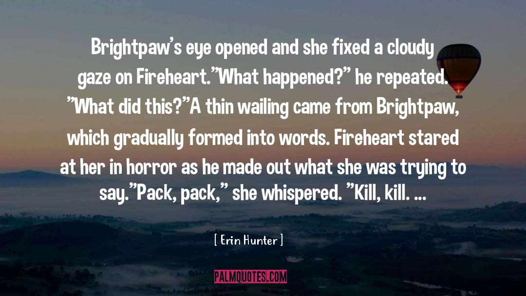 Brightpaws quotes by Erin Hunter