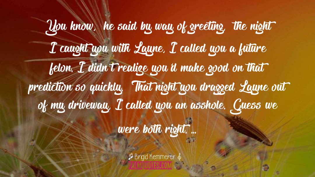 Brigid quotes by Brigid Kemmerer