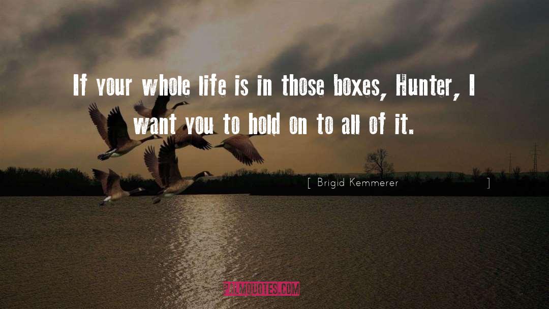 Brigid quotes by Brigid Kemmerer