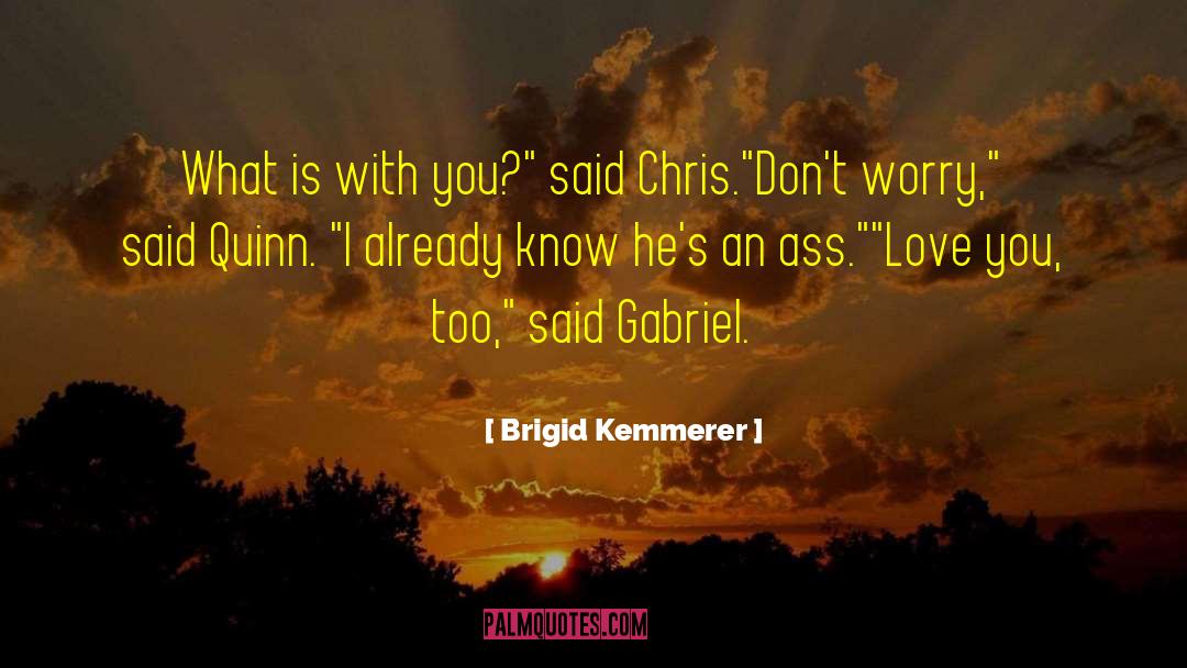 Brigid quotes by Brigid Kemmerer