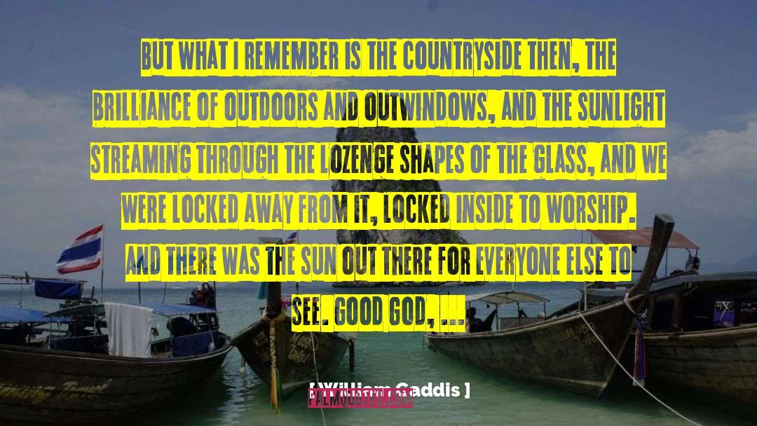 Brilliance quotes by William Gaddis