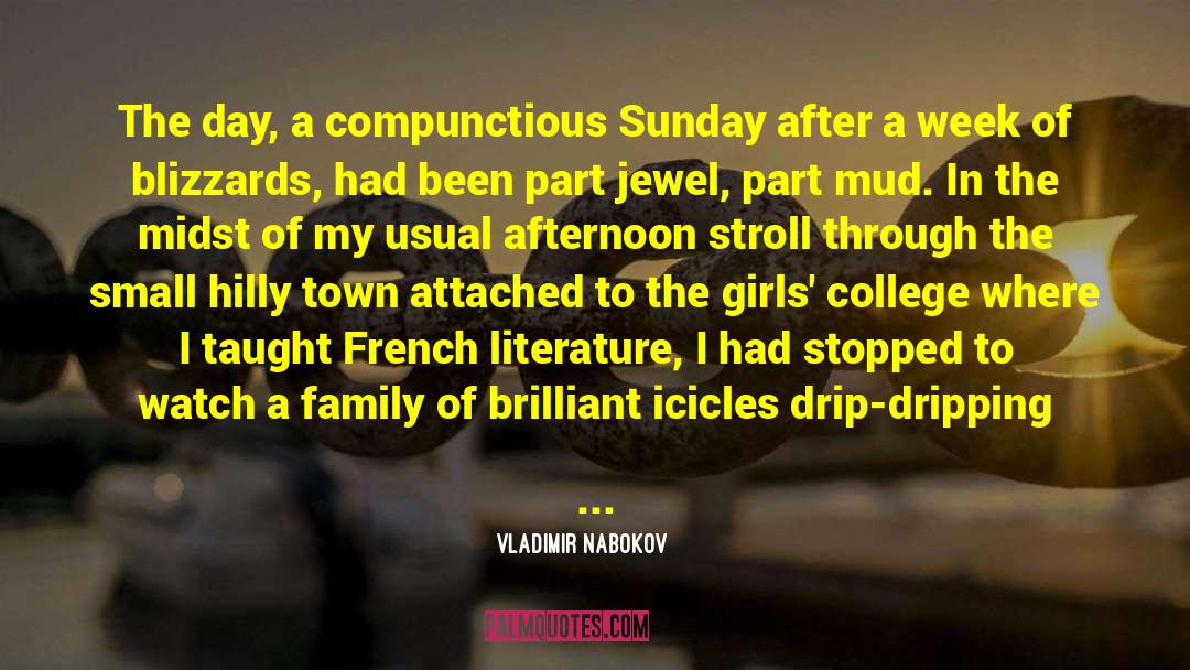 Brilliant Verse quotes by Vladimir Nabokov