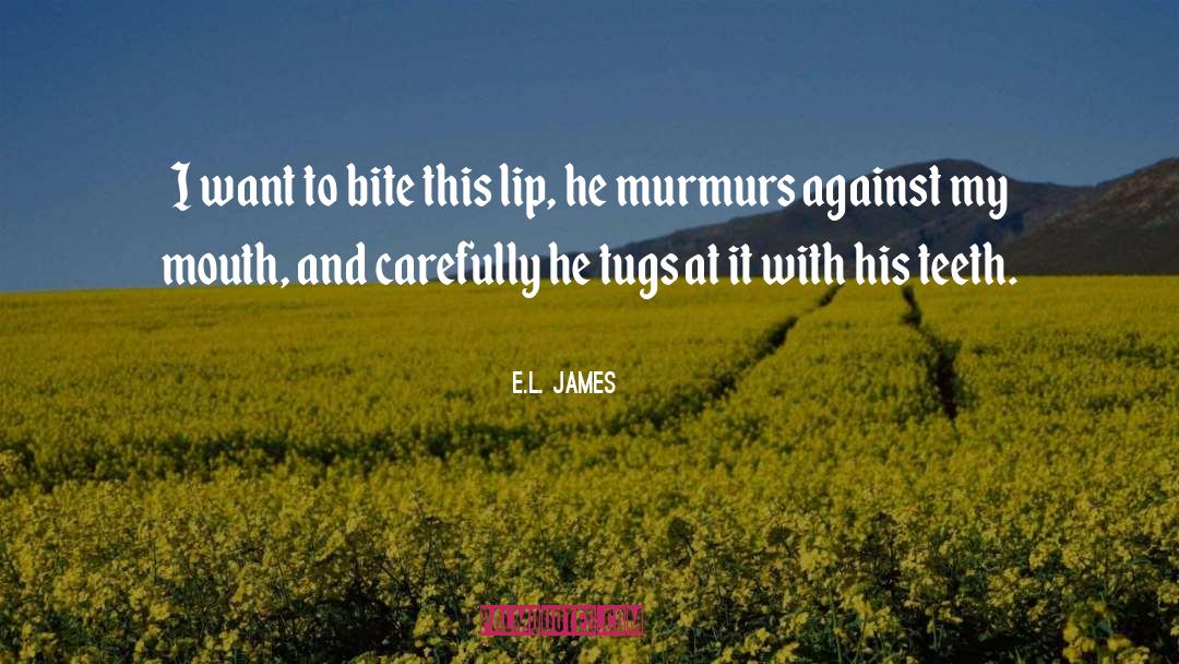 Brillstein And Grey quotes by E.L. James