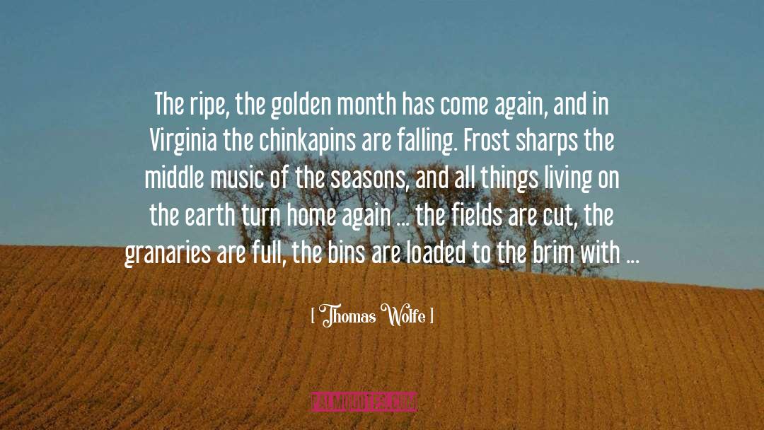 Brim quotes by Thomas Wolfe