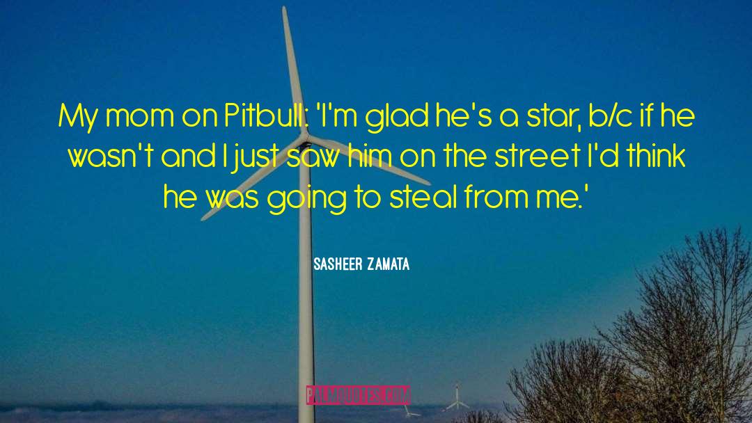 Brindle Pitbull quotes by Sasheer Zamata