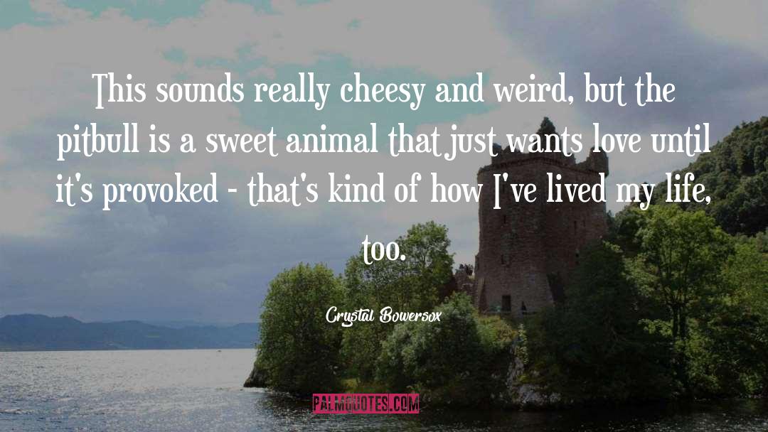 Brindle Pitbull quotes by Crystal Bowersox
