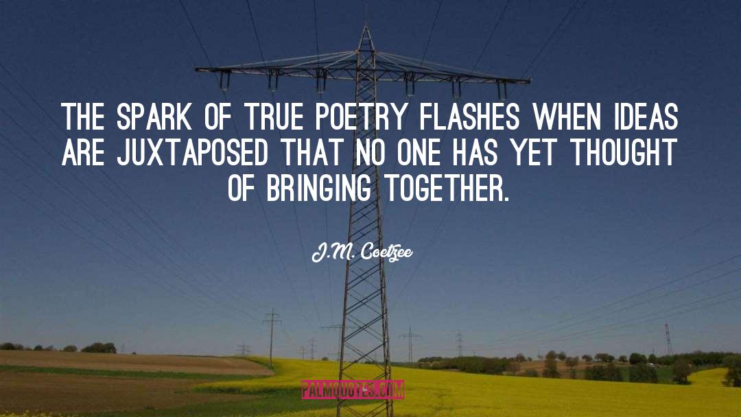 Bringing Together quotes by J.M. Coetzee