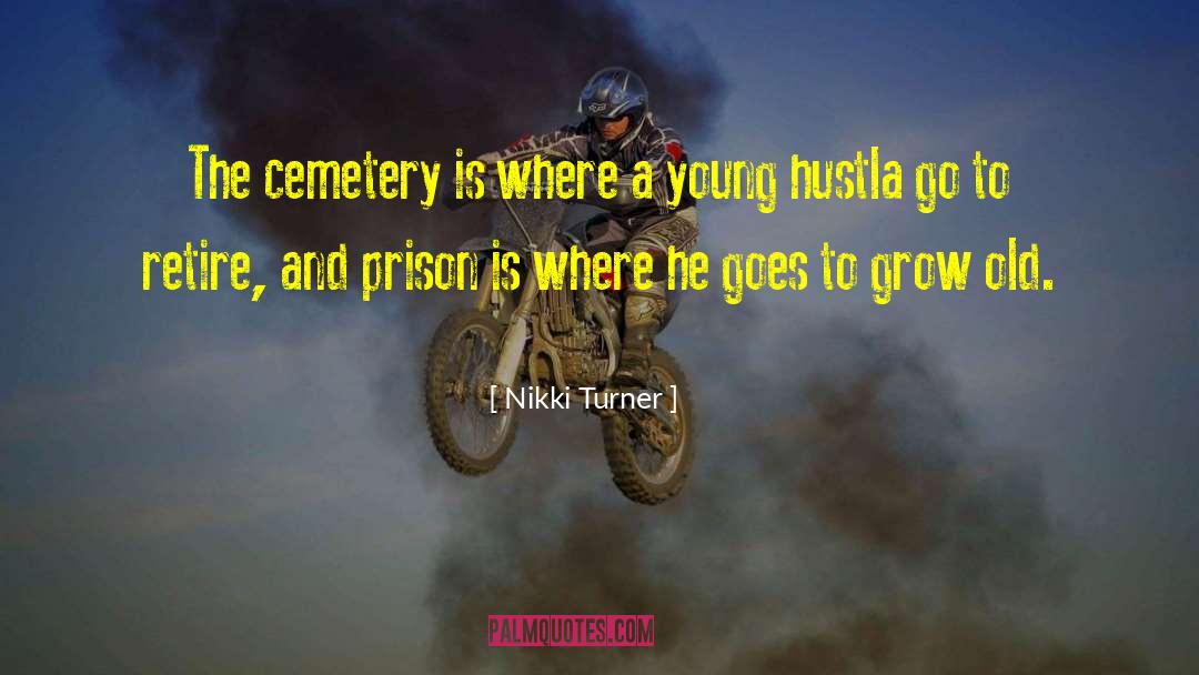 Brininstool Cemetery quotes by Nikki Turner