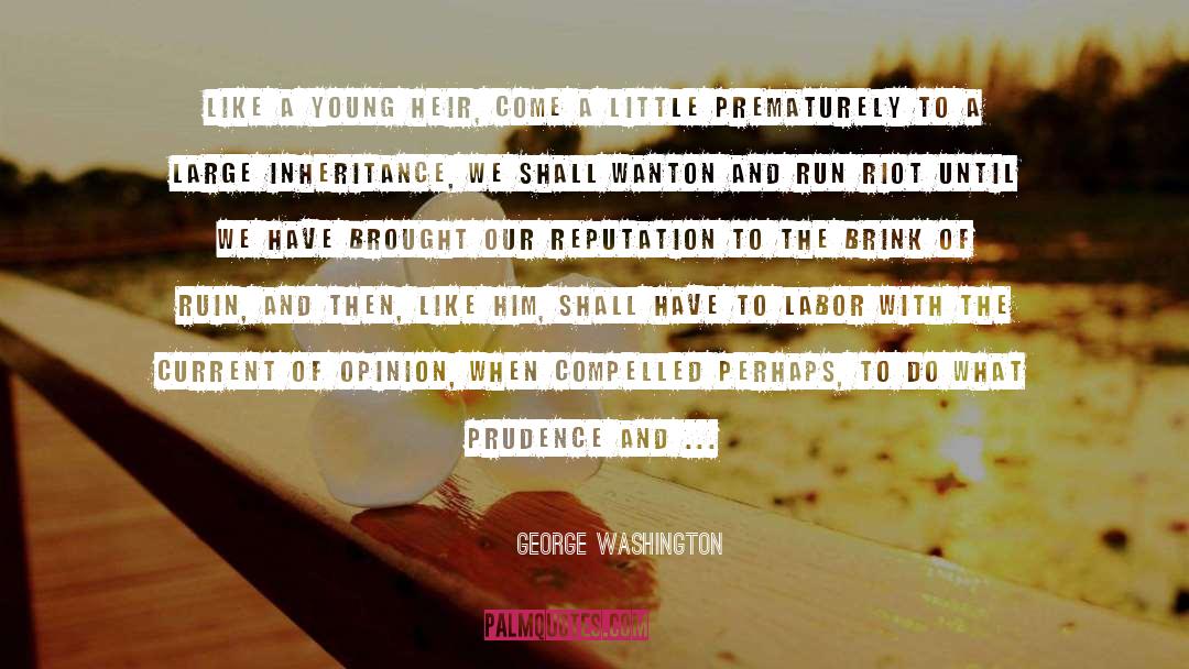 Brink quotes by George Washington