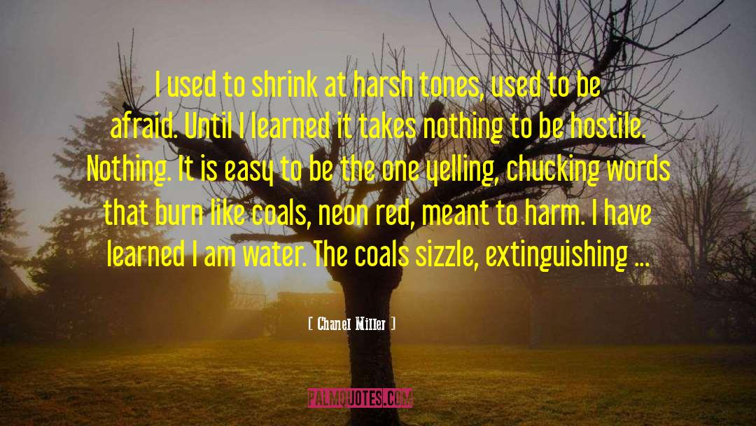 Briny Water quotes by Chanel Miller