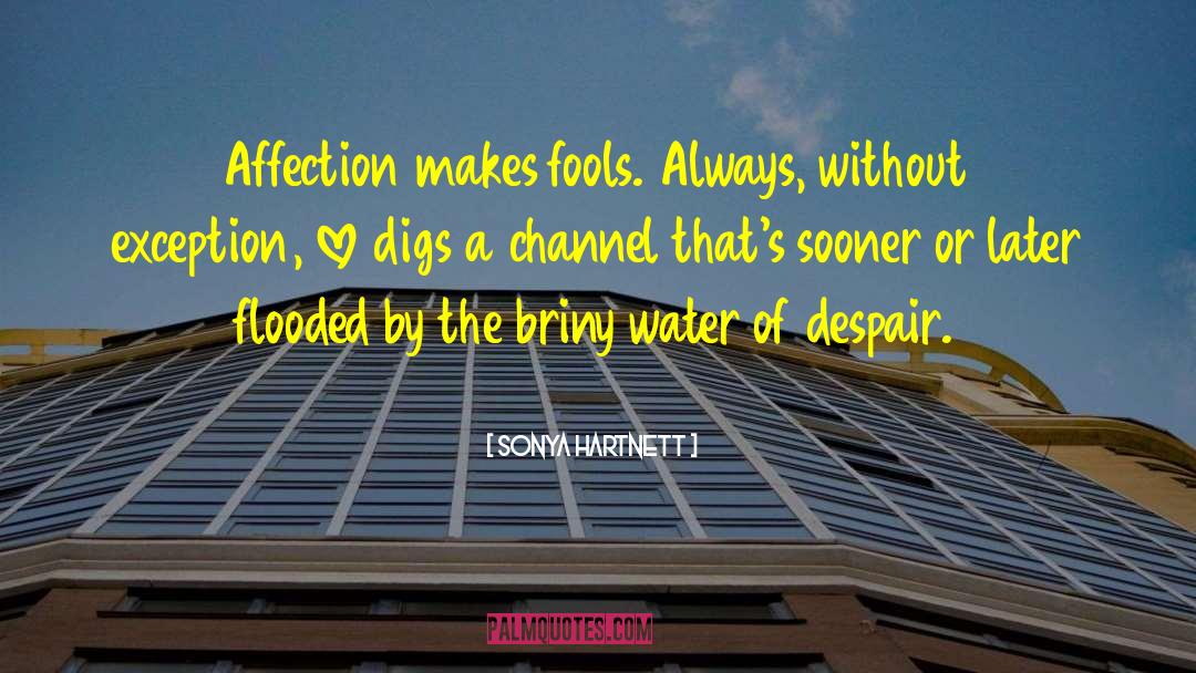 Briny Water quotes by Sonya Hartnett