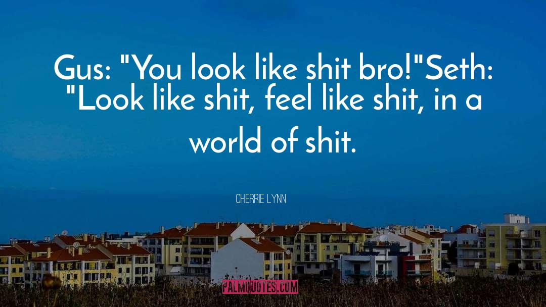 Bro Gritz quotes by Cherrie Lynn
