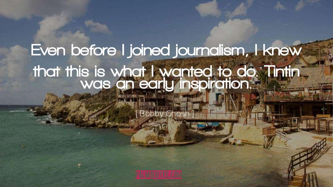 Broadcast Journalism quotes by Bobby Ghosh
