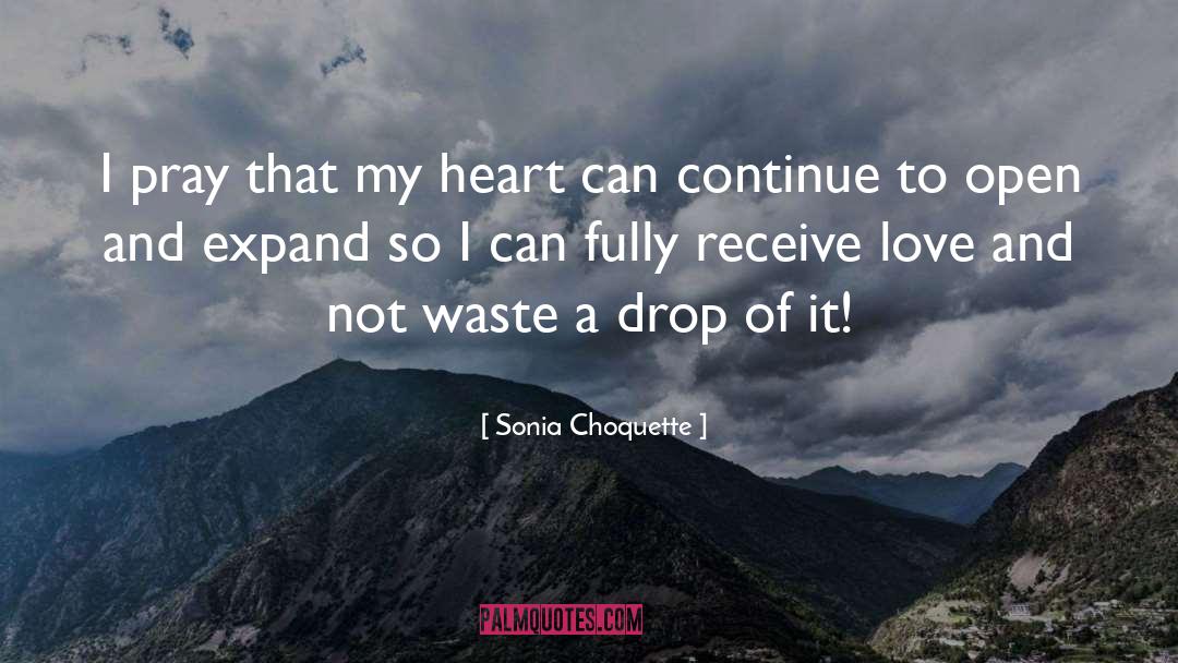 Broke My Heart quotes by Sonia Choquette