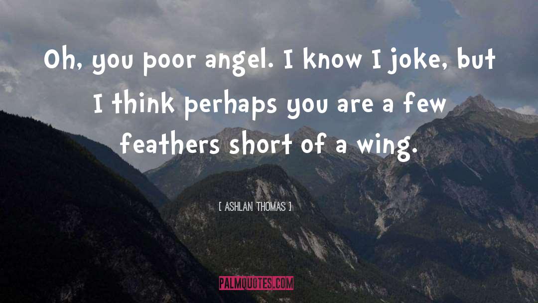 Broken Angel Wing quotes by Ashlan Thomas