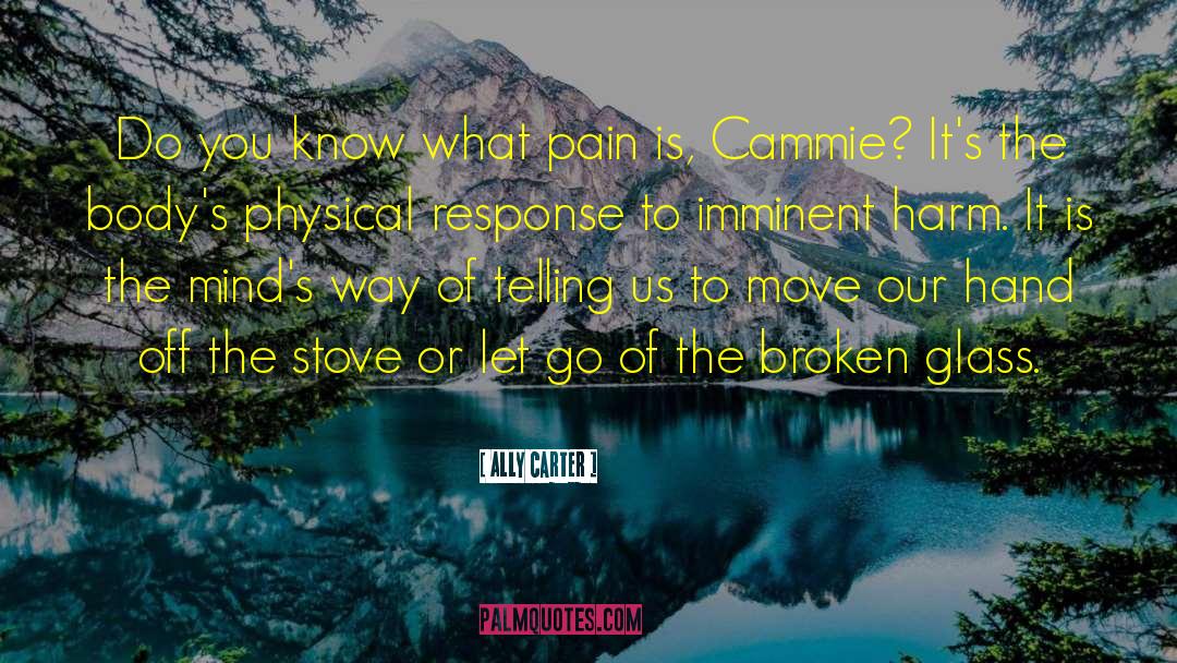 Broken Body quotes by Ally Carter