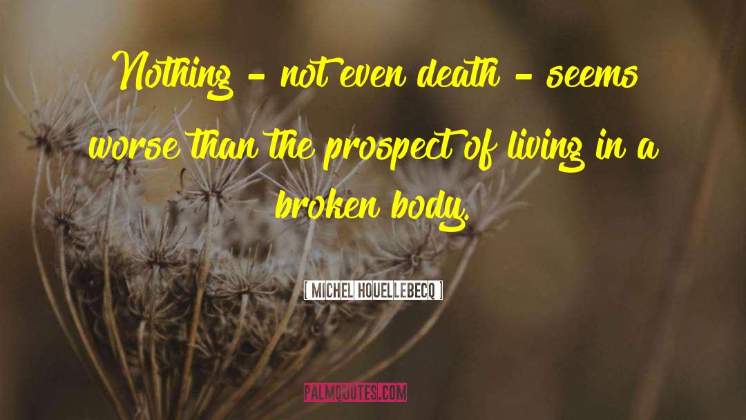 Broken Body quotes by Michel Houellebecq