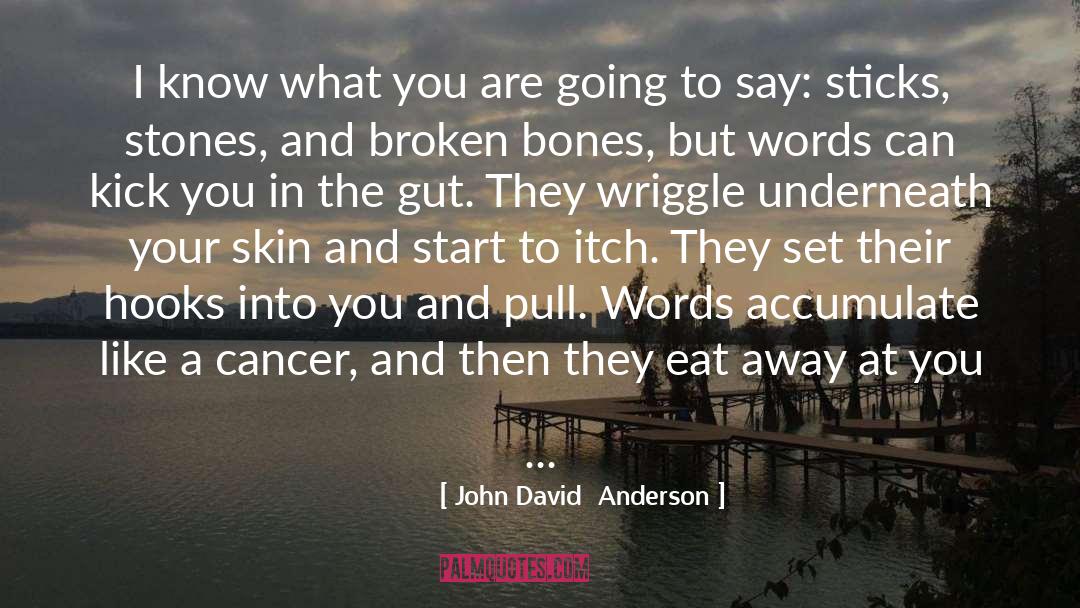 Broken Bones quotes by John David  Anderson