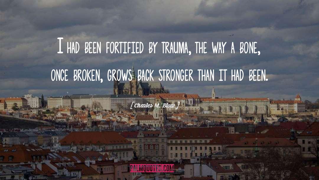 Broken Bones quotes by Charles M. Blow