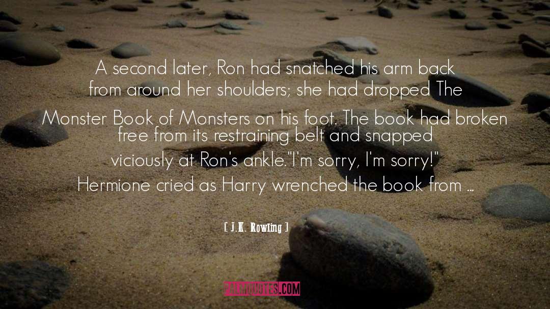 Broken Book Boyfriends quotes by J.K. Rowling