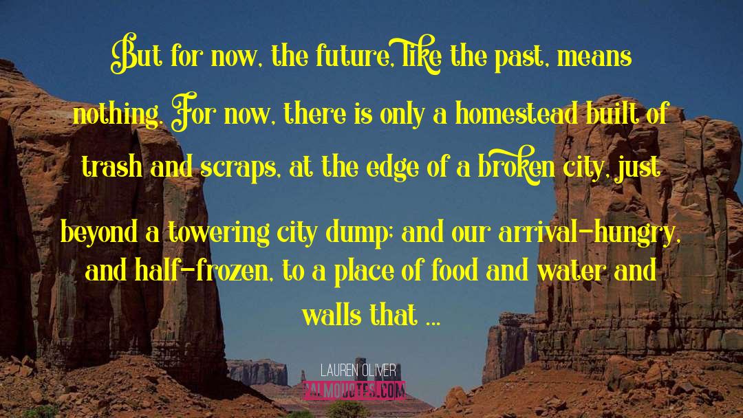 Broken City quotes by Lauren Oliver