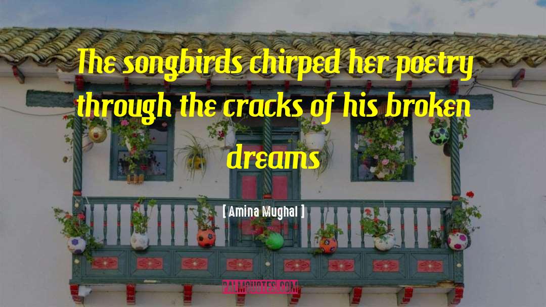 Broken Dreams quotes by Amina Mughal