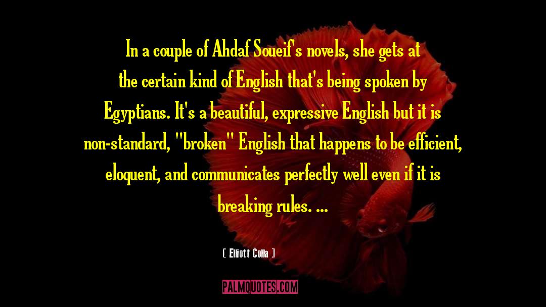 Broken English quotes by Elliott Colla