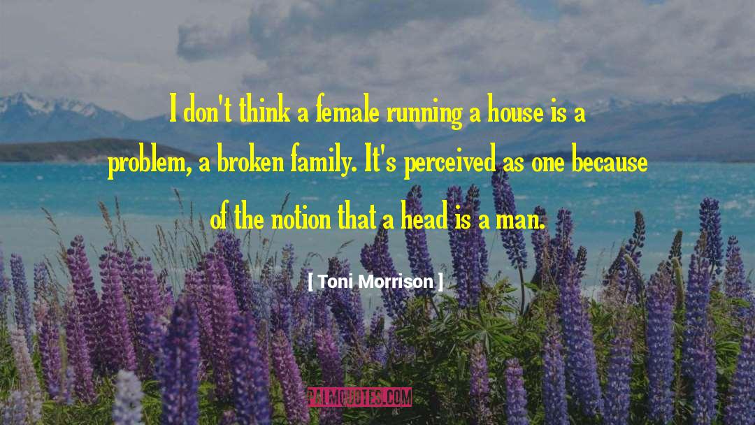 Broken Family quotes by Toni Morrison