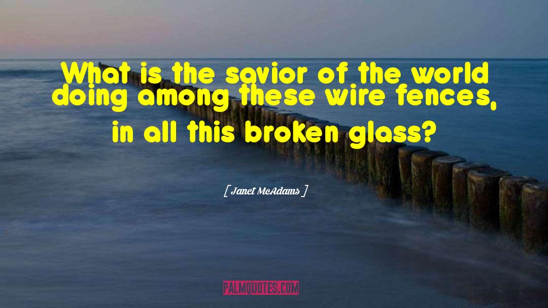 Broken Glass quotes by Janet McAdams