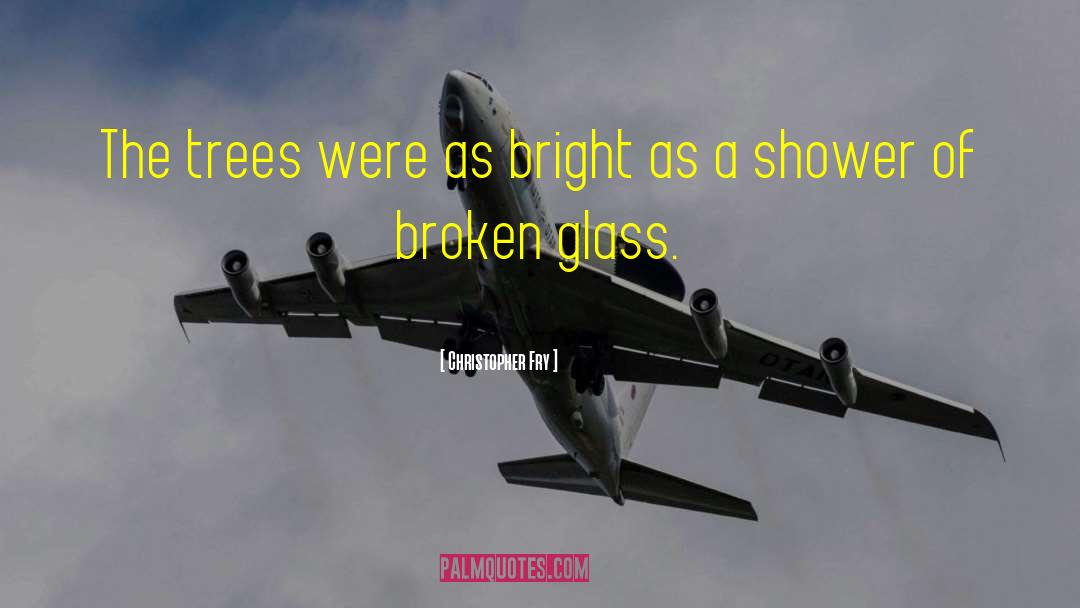 Broken Glass quotes by Christopher Fry