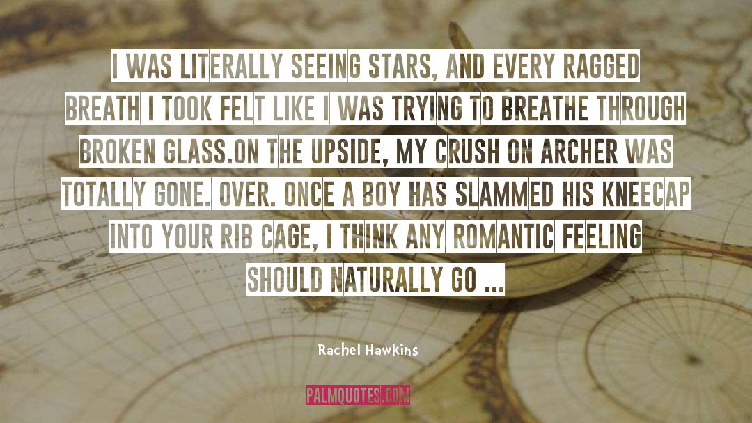 Broken Glass quotes by Rachel Hawkins