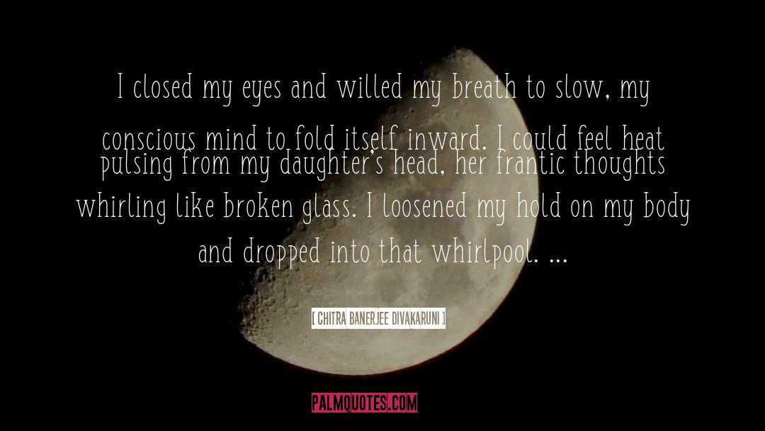 Broken Glass quotes by Chitra Banerjee Divakaruni