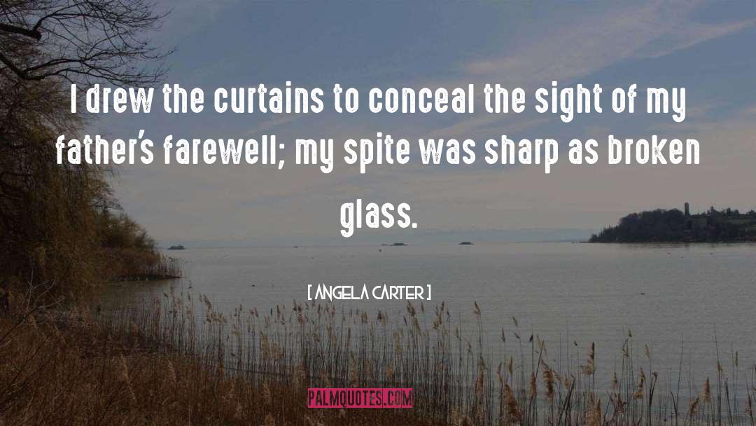 Broken Glass quotes by Angela Carter