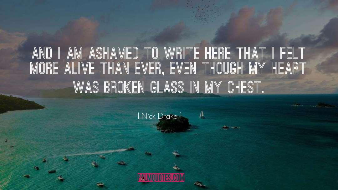 Broken Glass quotes by Nick Drake