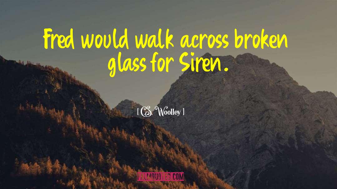 Broken Glass quotes by C.S. Woolley