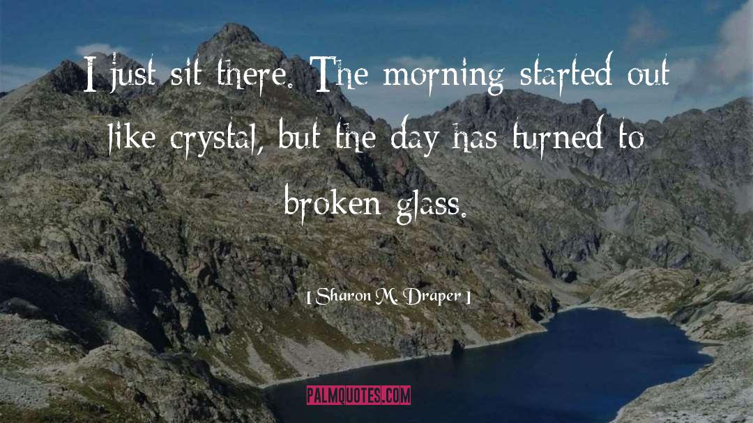 Broken Glass quotes by Sharon M. Draper