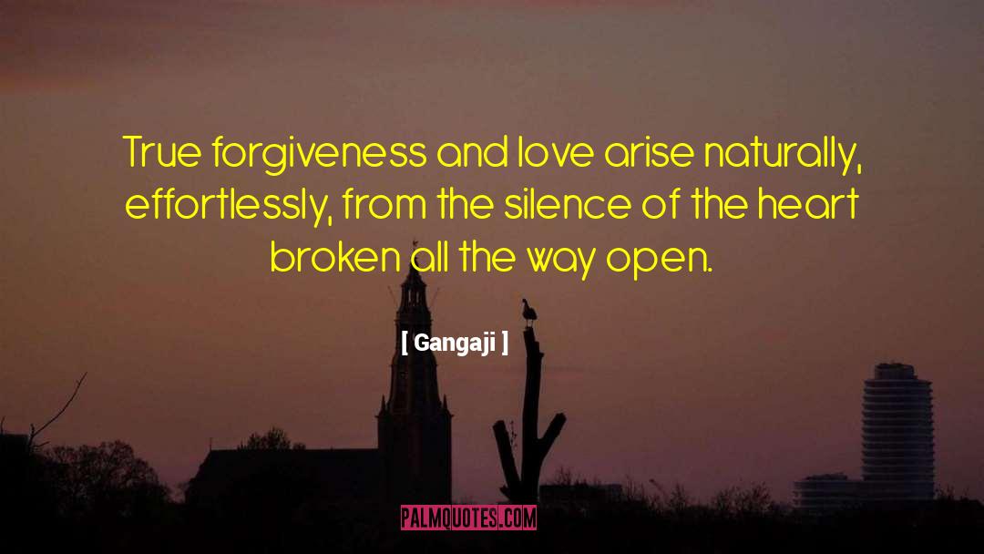 Broken Heart From Love quotes by Gangaji