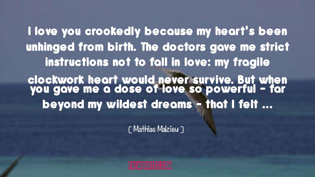 Broken Heart From Love quotes by Mathias Malzieu