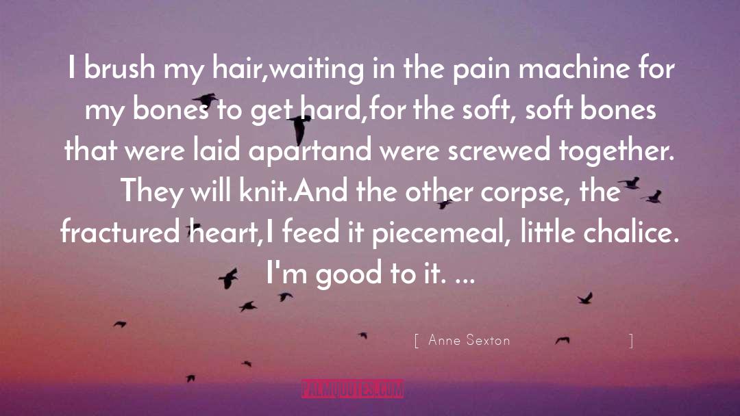Broken Heart Waiting In Vain quotes by Anne Sexton