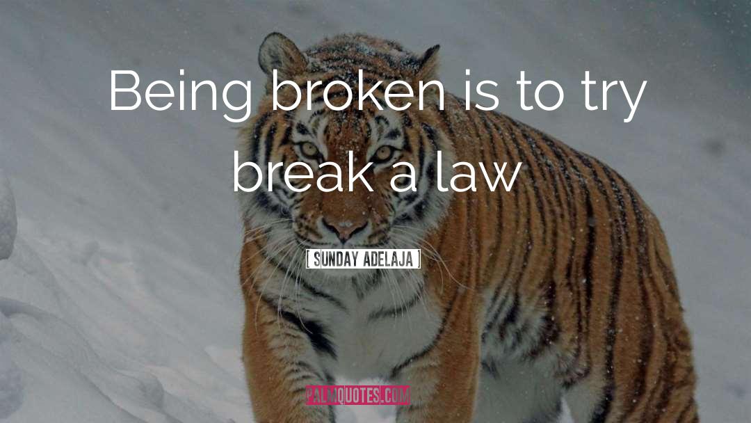 Broken Is Whole quotes by Sunday Adelaja