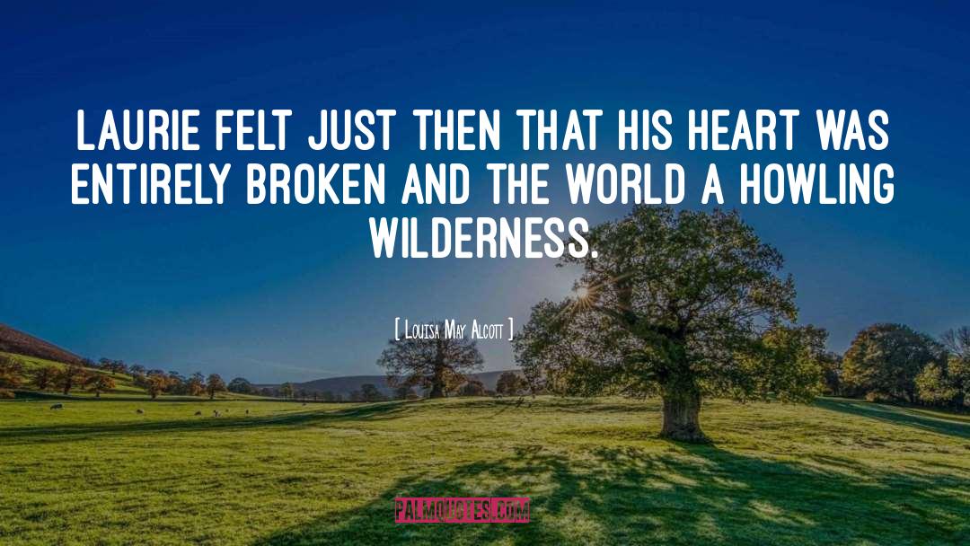 Broken Leg quotes by Louisa May Alcott