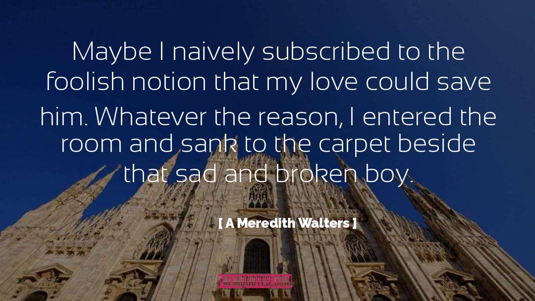 Broken Love quotes by A Meredith Walters