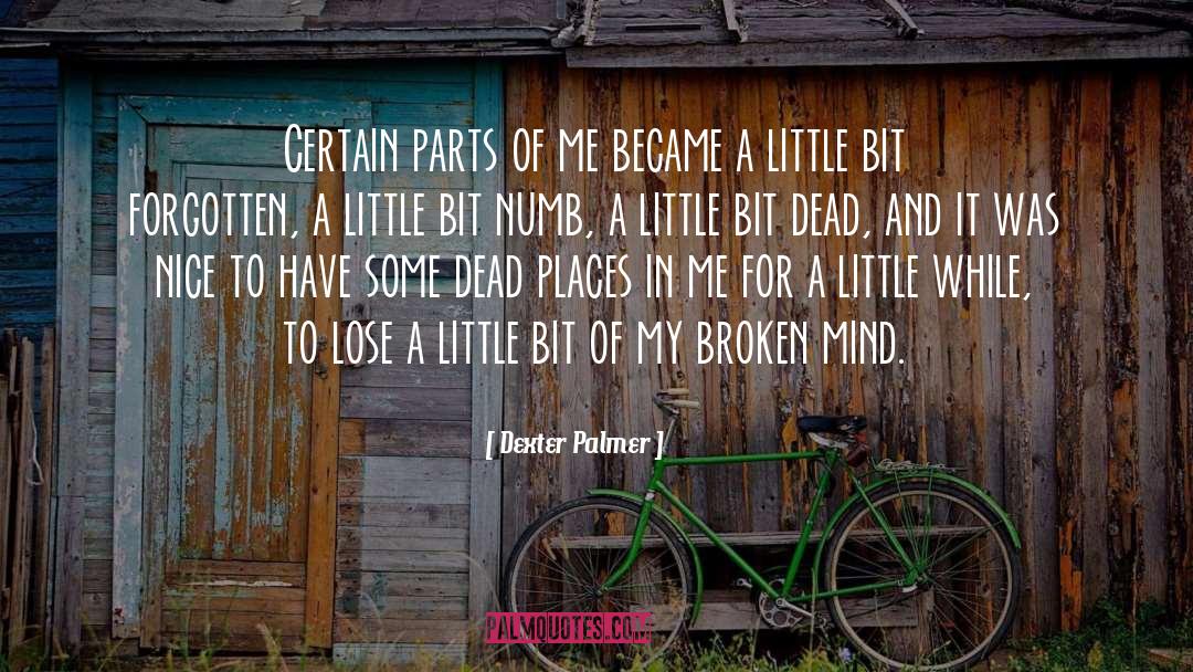 Broken Mind quotes by Dexter Palmer