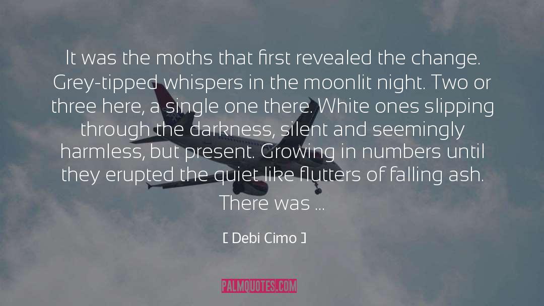 Broken Mirror quotes by Debi Cimo