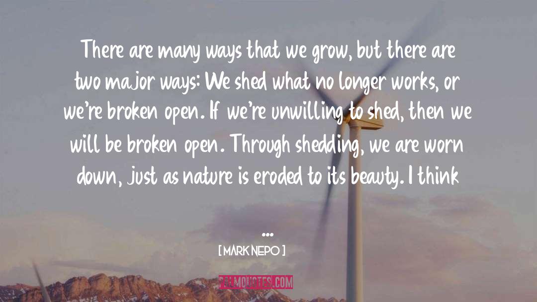 Broken Open quotes by Mark Nepo