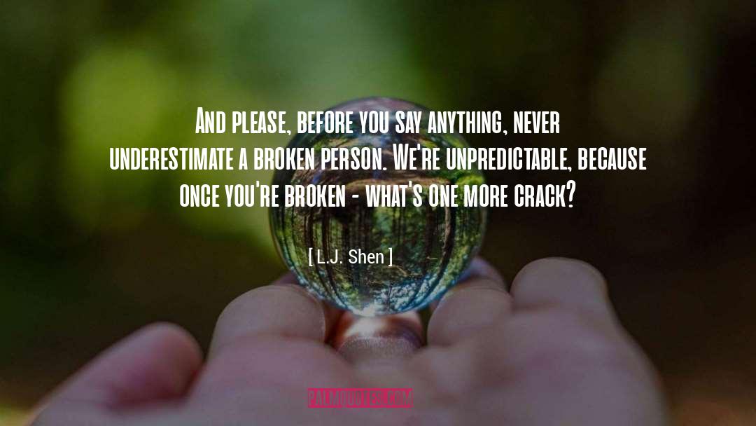 Broken Person quotes by L.J. Shen
