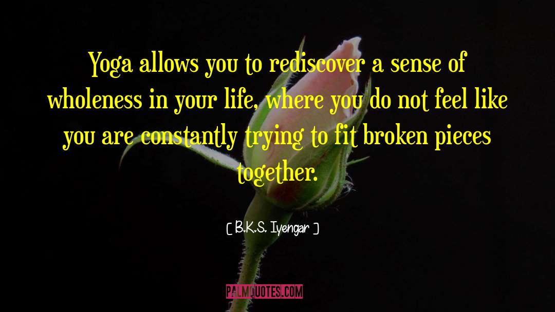 Broken Pieces quotes by B.K.S. Iyengar